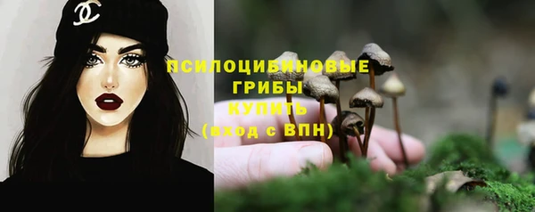 mdma Дмитровск