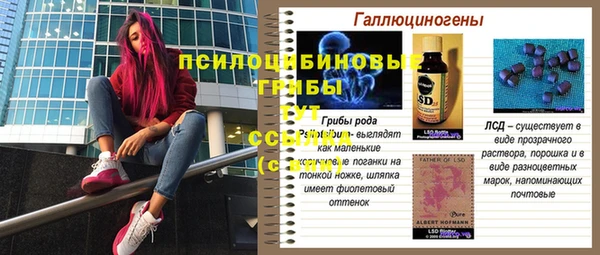 эйфоретик Дмитров