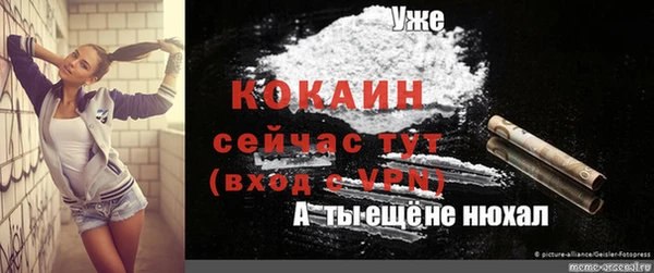 эйфоретик Дмитров